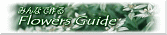 �݂�Ȃō��FlowersGuide
