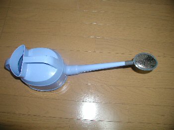 �W���[��