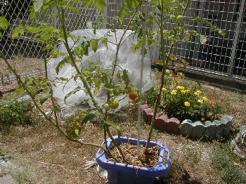 �~�j�g�}�g