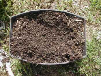 ��؂�������������̃v�����^�[