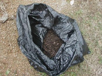 �y������ɂ��Ă�