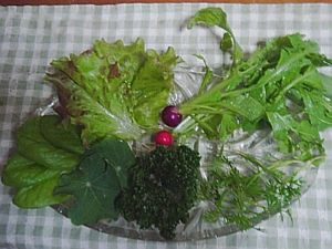 ���n�������