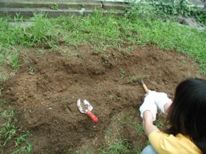 �����k���Ă��܂�